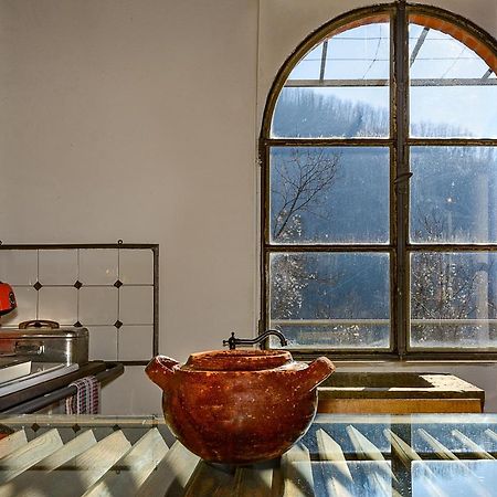 Villa La Limonaia di Casagrande Barga Esterno foto