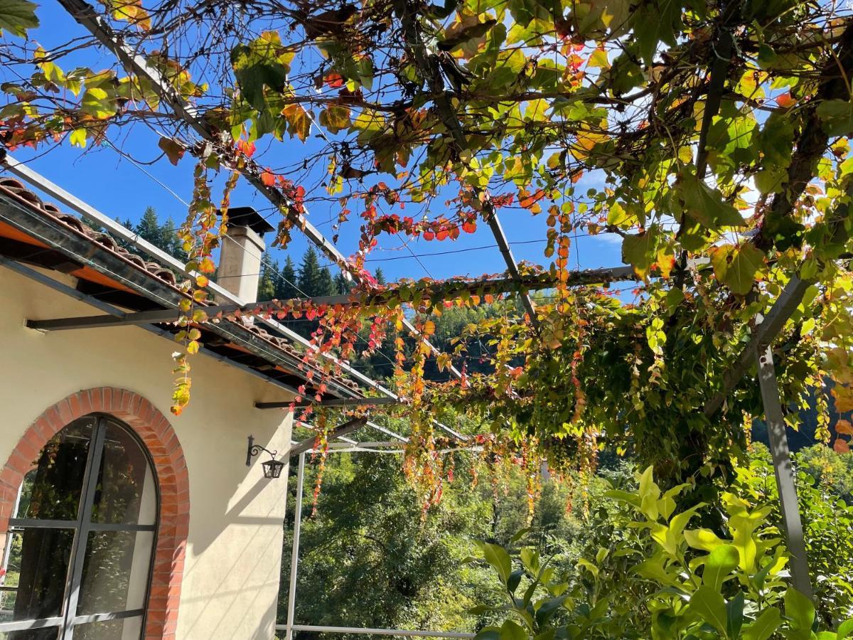 Villa La Limonaia di Casagrande Barga Esterno foto
