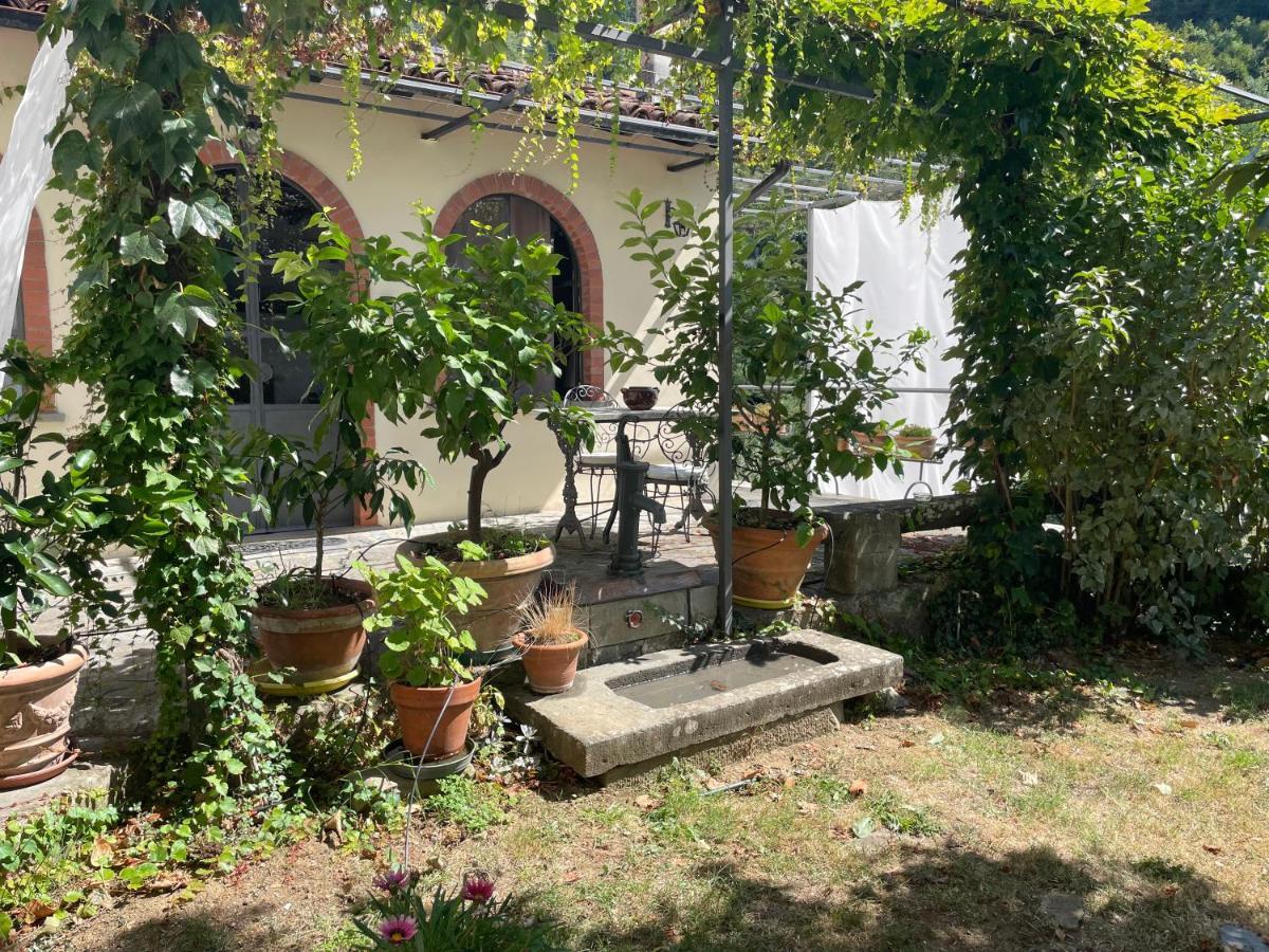Villa La Limonaia di Casagrande Barga Esterno foto