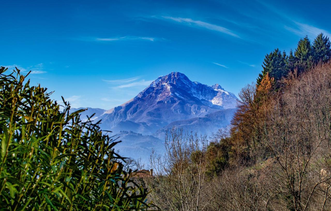 Villa La Limonaia di Casagrande Barga Esterno foto