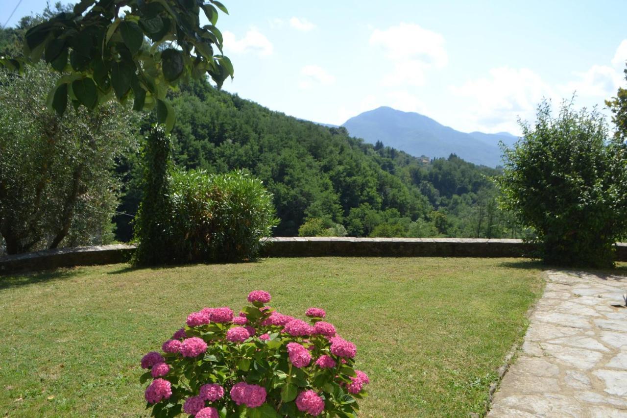 Villa La Limonaia di Casagrande Barga Esterno foto